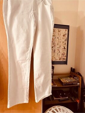 Ag Adriano Goldschmied White Straight Jeans